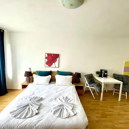 Apartment Sala Palatului Studio