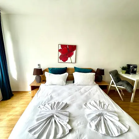 Apartmán Sala Palatului Studio *