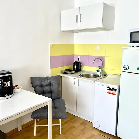 Apartment Sala Palatului Studio