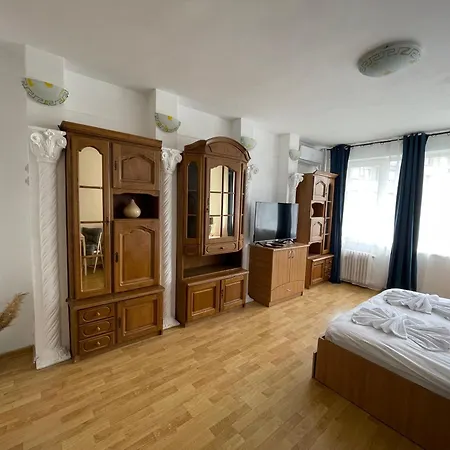 Apartment Sala Palatului Studio Bucharest